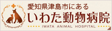 愛知県津島市にある いわた動物病院