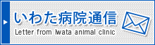 いわた動物病院からのお便り