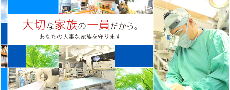大切な家族の一員だから あなたの大事な家族を守ります